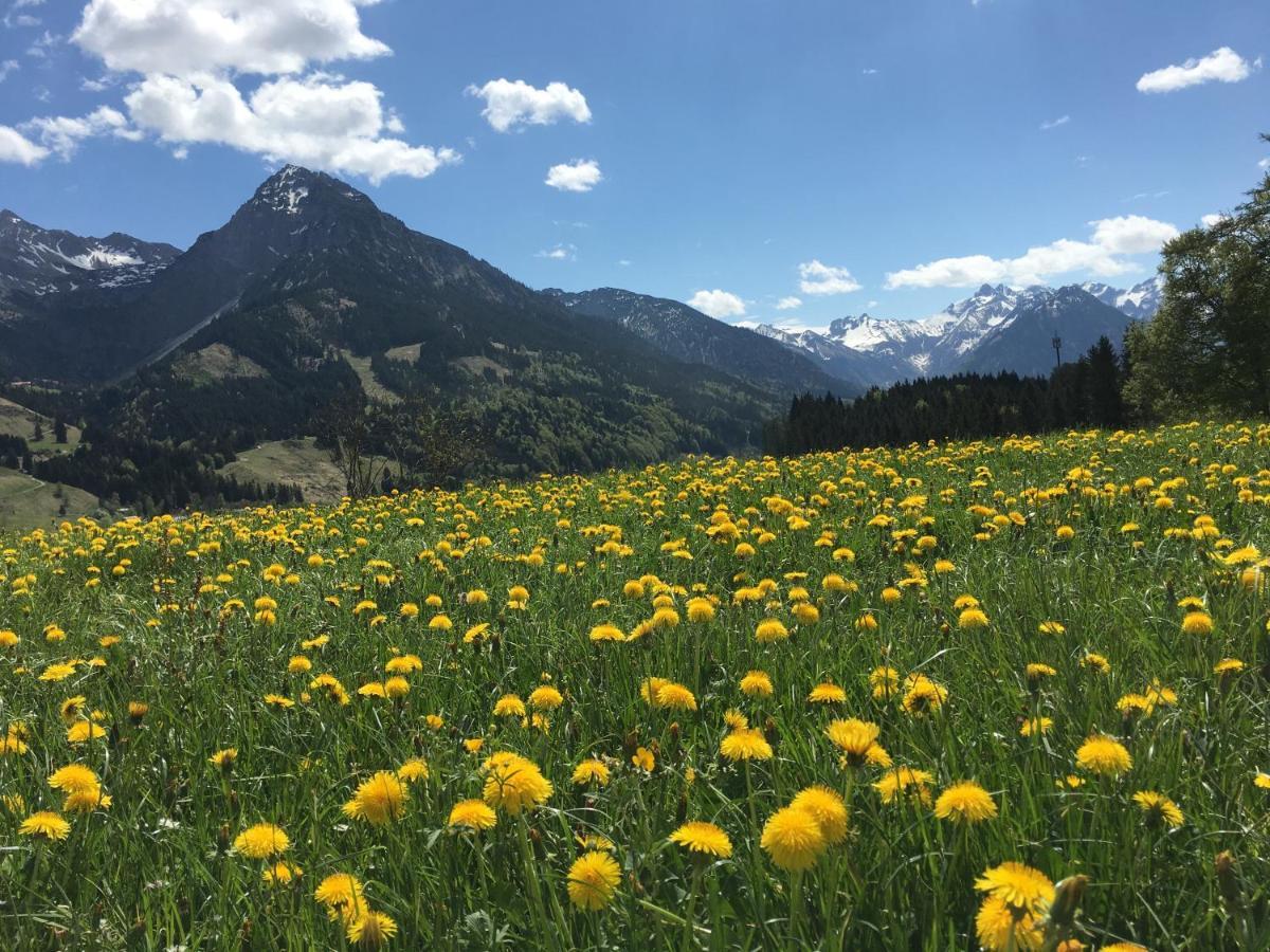 Bergfex Gaisalphorn Mit Sommer-Bergbahnticket Oberstdorf Exterior foto